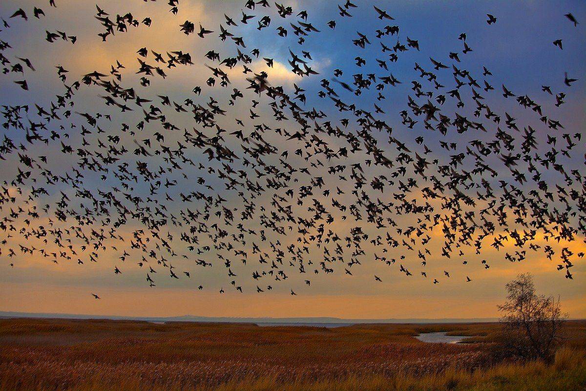 осень, азов, Ирина