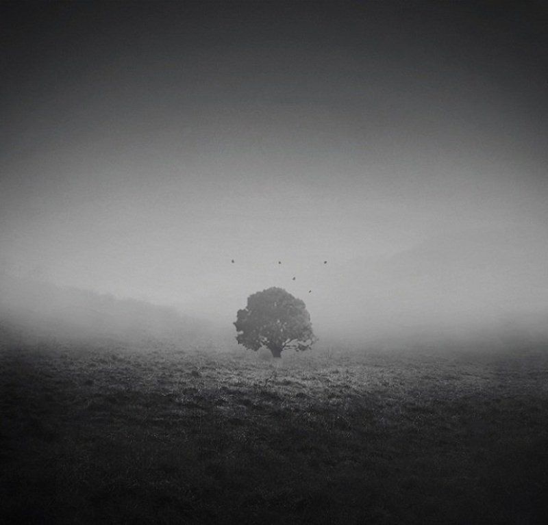 Туманное утро.. фото превью