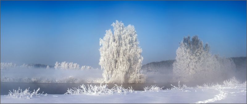 **Y** фото превью