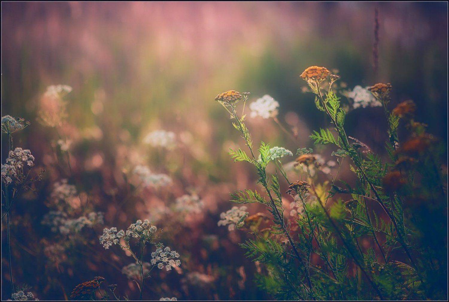 , Евгений Кирилкин.