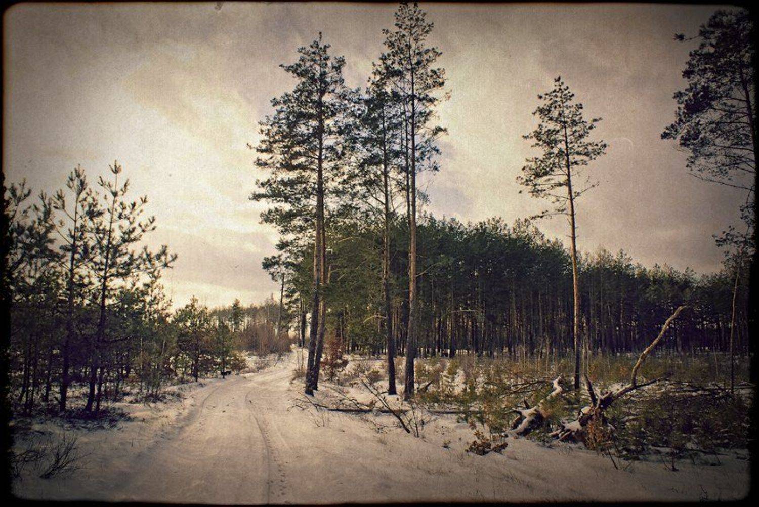 , Лана Тополева