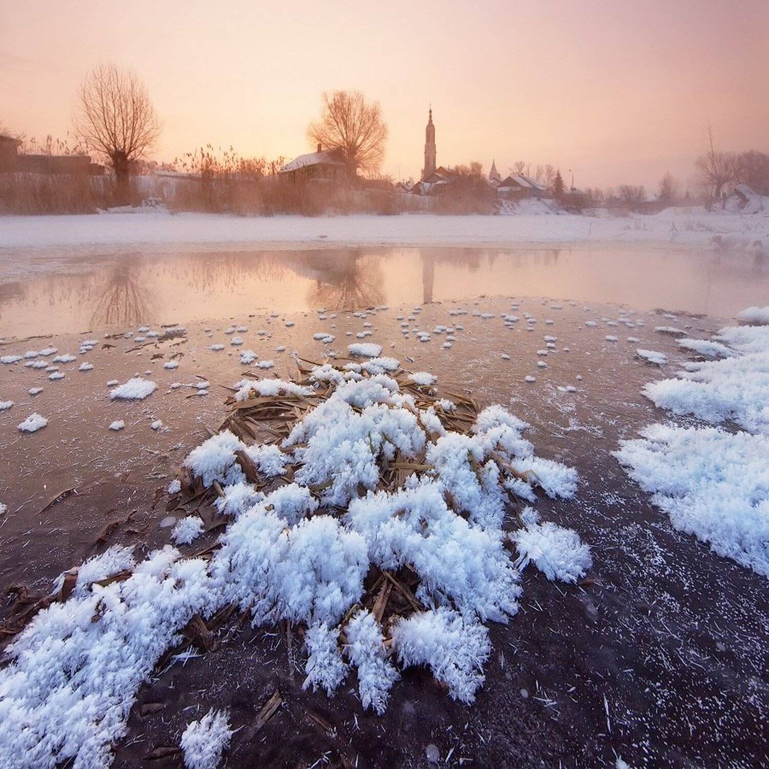 , Максим Евдокимов
