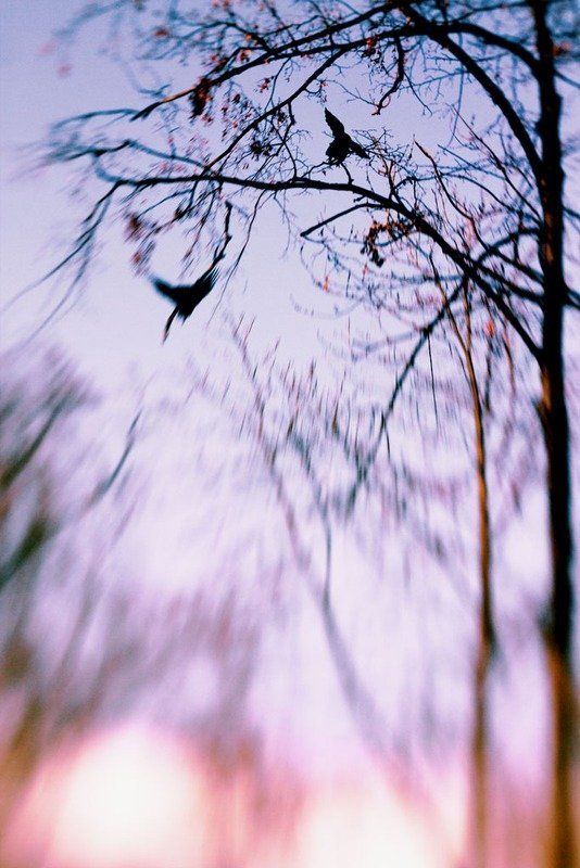 spell фото превью