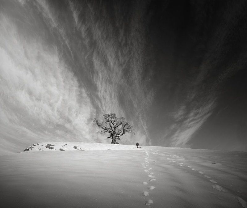 Time Out of Mind фото превью