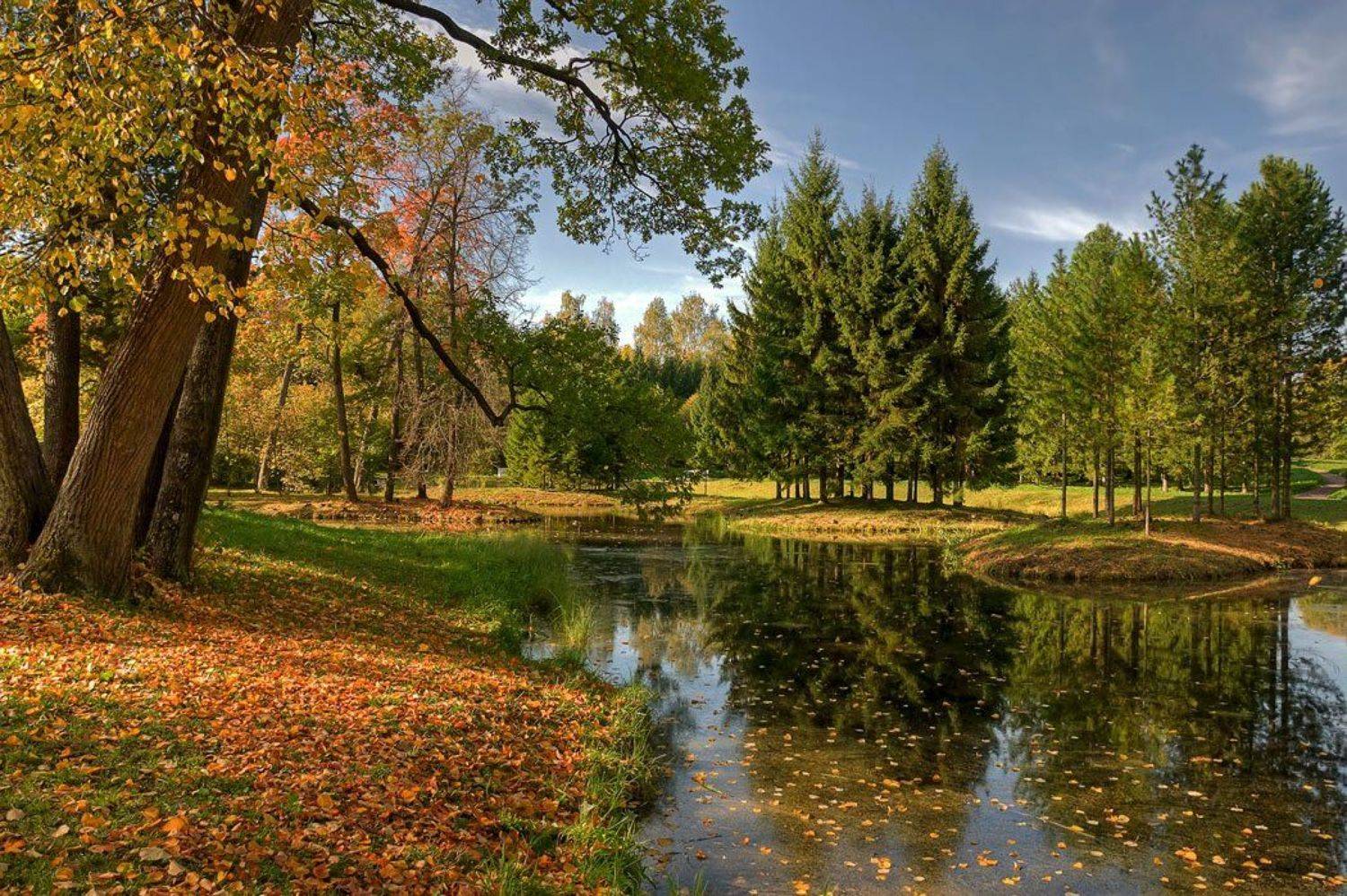 , Эдуард Гордеев