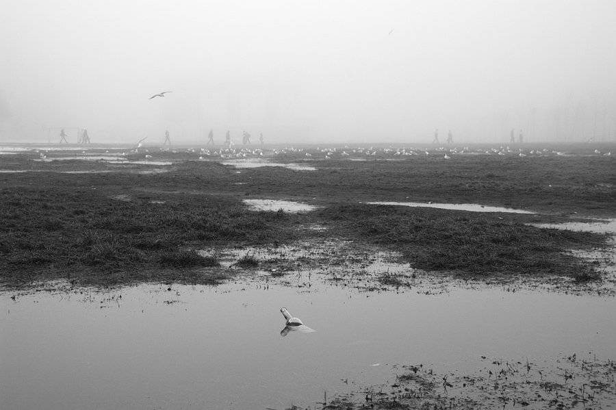 , Александр Гришаев