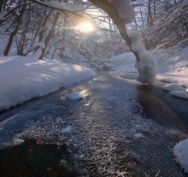 Прогулка вдоль зимней реки фото превью