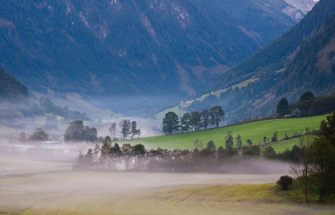 , Людмила Прокофьева