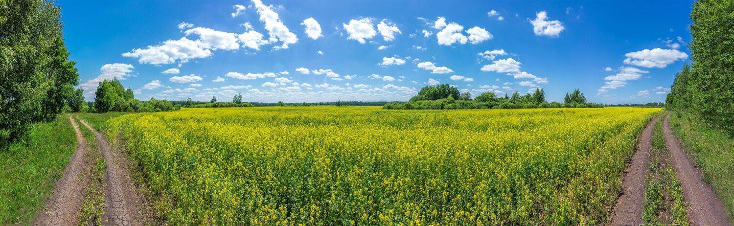 лето, дали, облака, дорога, дороги, поле, Руслан Востриков