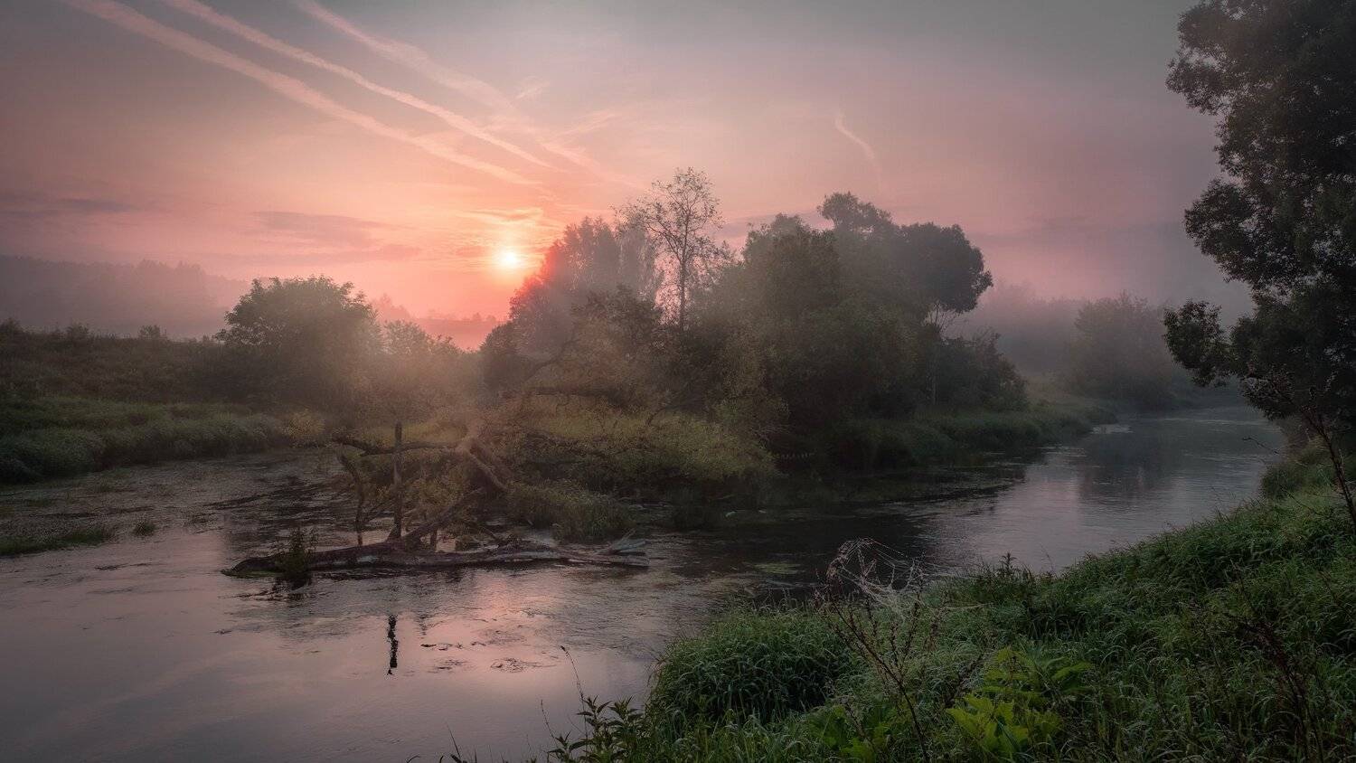 истра, река, островок, бурелом, пейзаж, рассвет, небо, следы, деревья, вода, туман, утро, Андрей Чиж