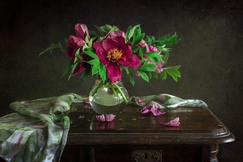 Пионы фото превью