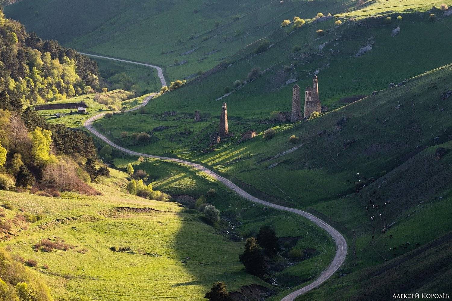 россия, кавказ, ингушетия, горы, природа, пейзаж, архитектура, весна, russia, caucasus, ingushetia, mountains, nature, landscape, architecture, spring, Алексей Королёв