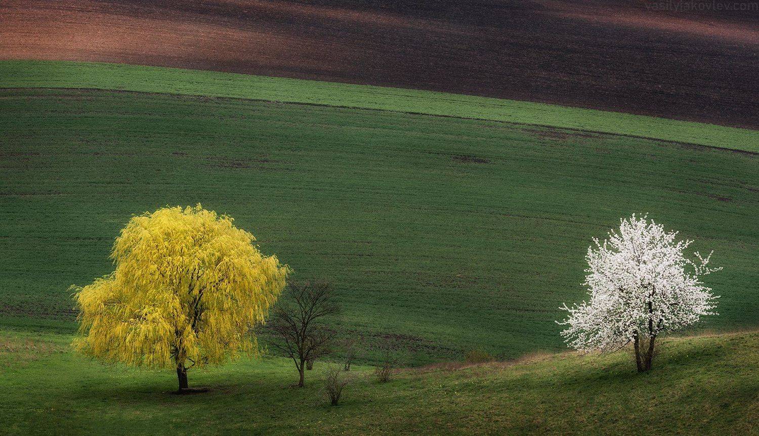 моравия, чехия, Василий Яковлев