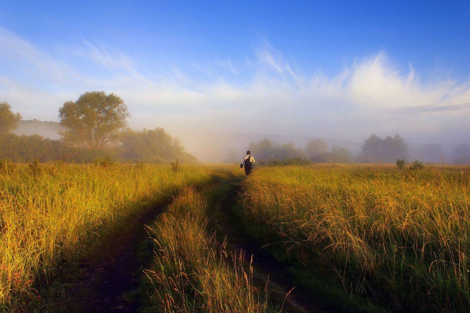 пейзаж, туман, утро, тропа, поле, луг, landscape, fog, morning, trail, field, meadow, Виктор Тулбанов