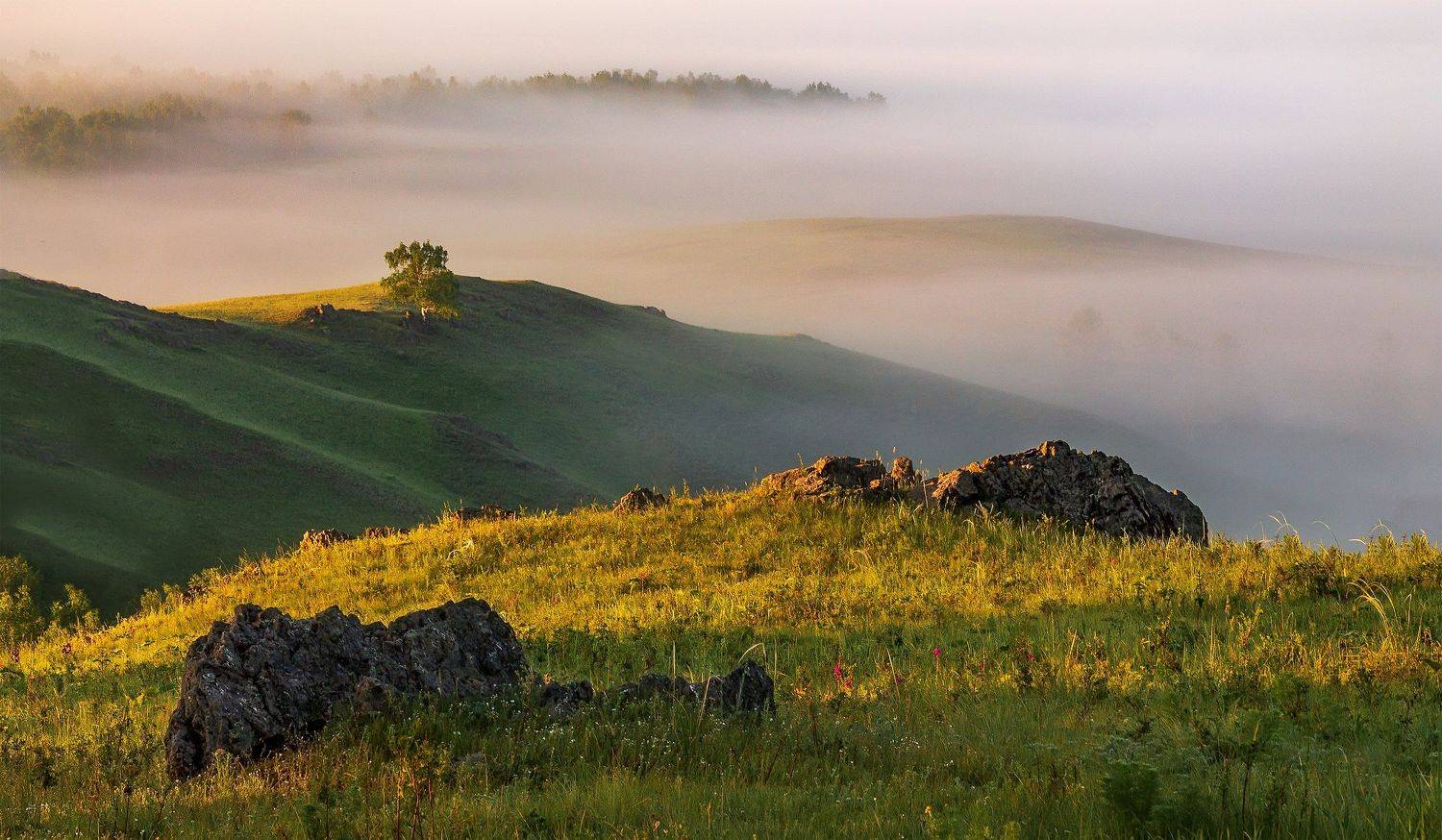 утро, рассвет, восход, туман, лучи, Леонид Максименко