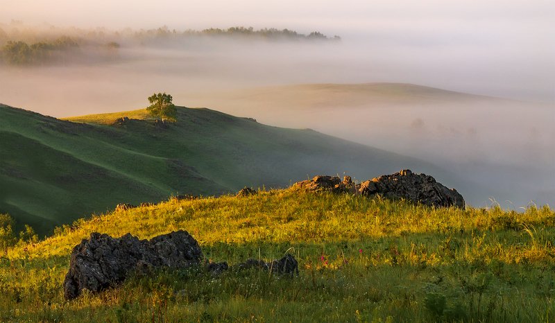 Иной ракурс фото превью