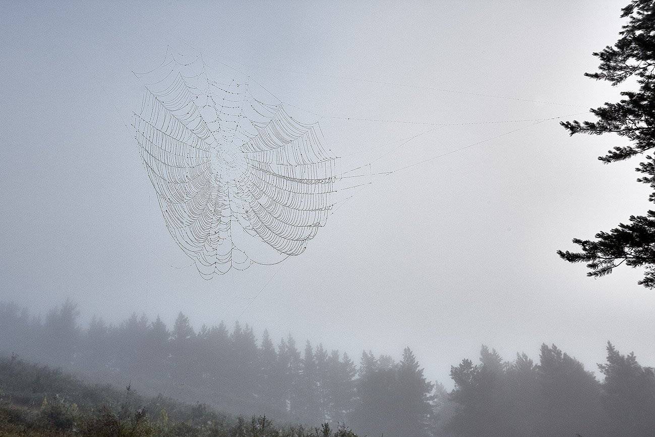 южный, урал, долгие горы, орск, новотроицк, карагай, урал, Качурин Алексей