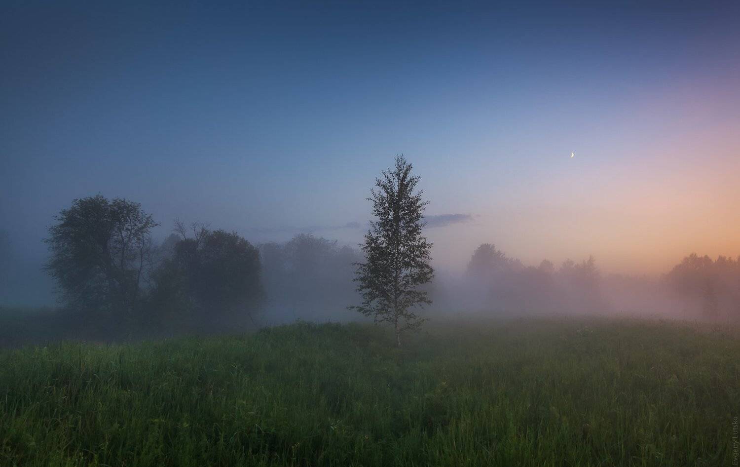 , Евгений Луцко
