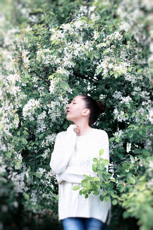 ви фото превью