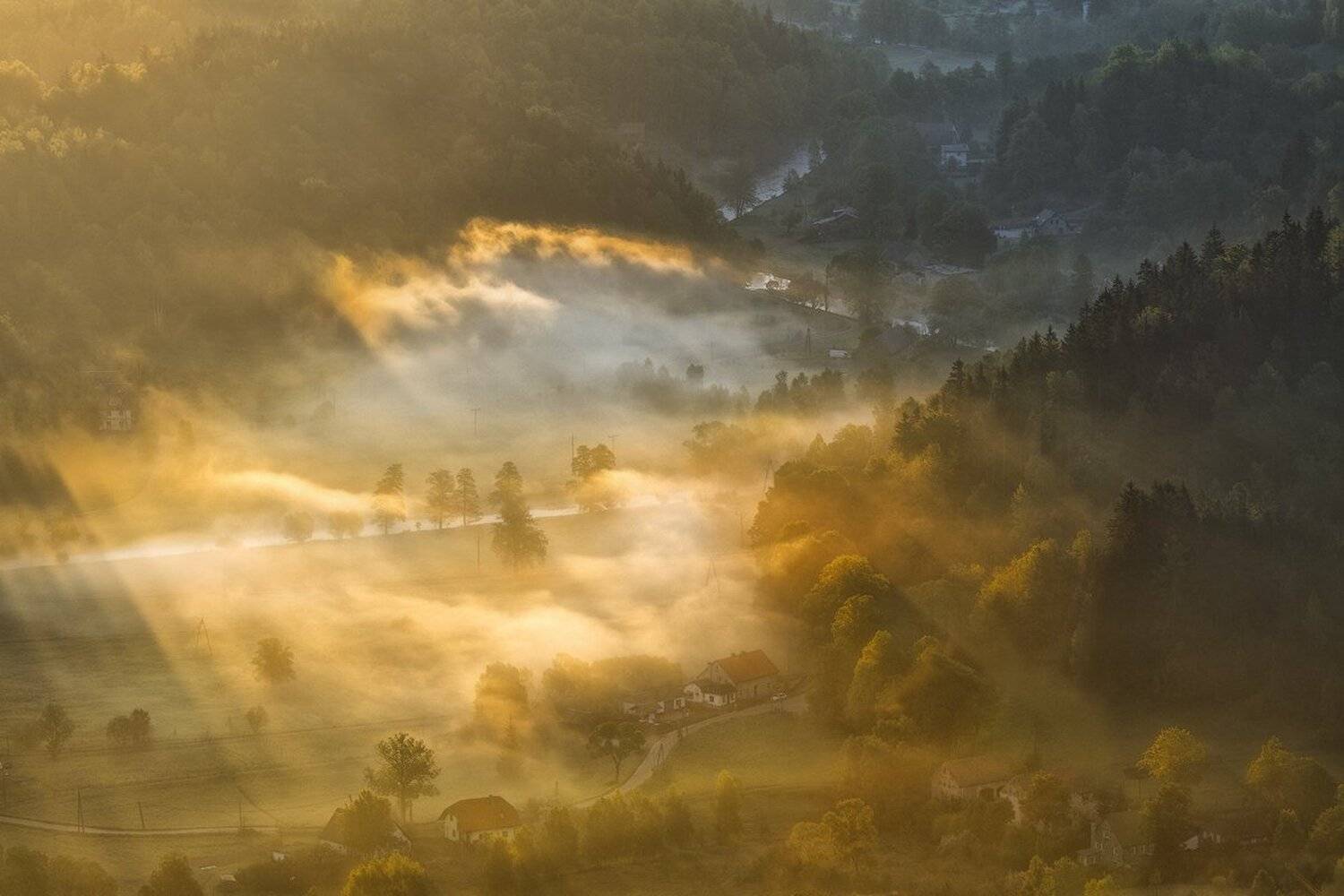 landscape,canon,mist,light,spring, Iza i Darek Mitręga