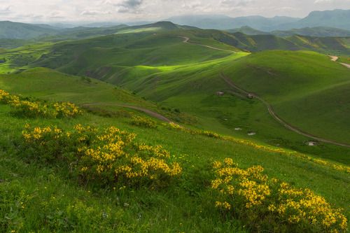 Дагестанские мотивы.