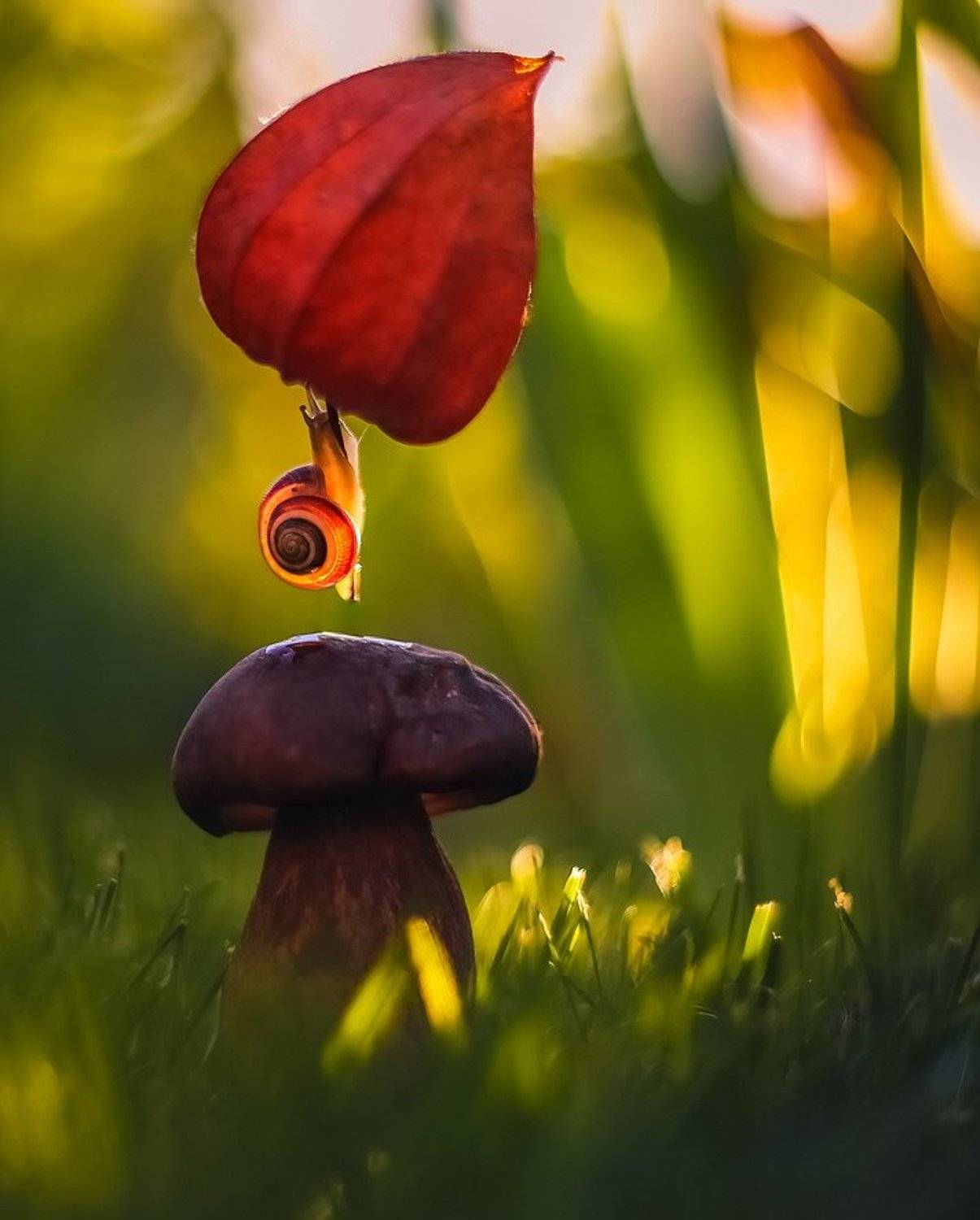 , Вячеслав Мищенко