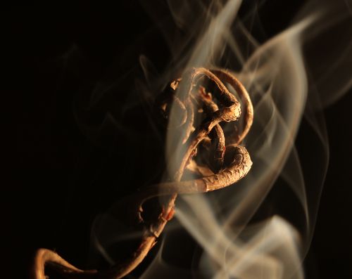 Симбиоз - Symbiosis