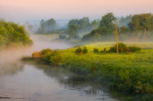 Июньское утро...