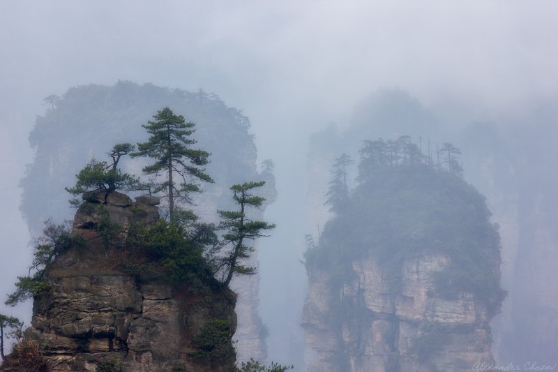 аватар, пандора, туман, пейзаж, скала, скалы, природа Парящие острова Пандоры фото превью