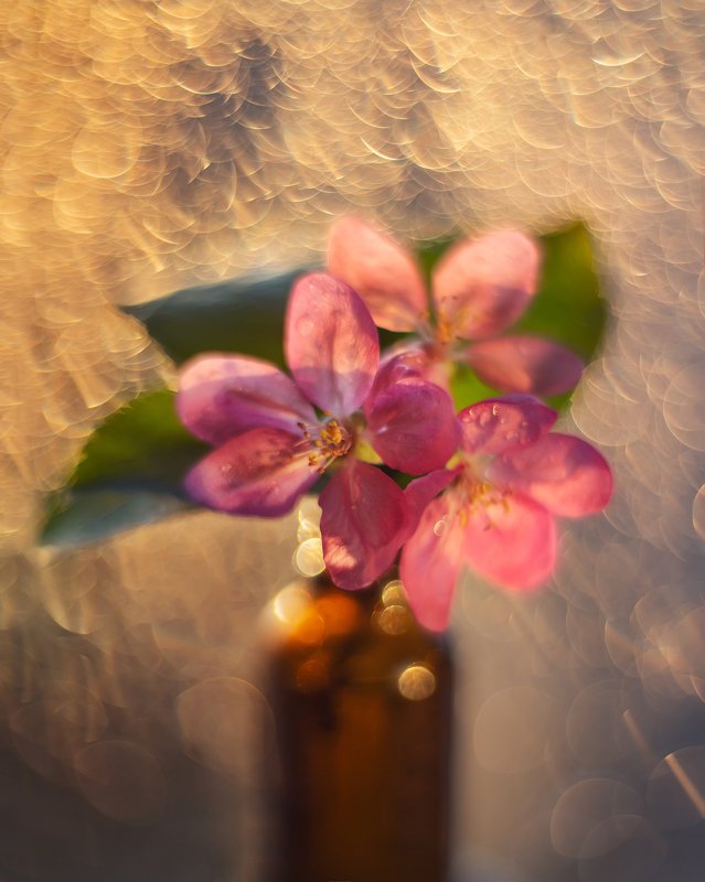 *** фото превью