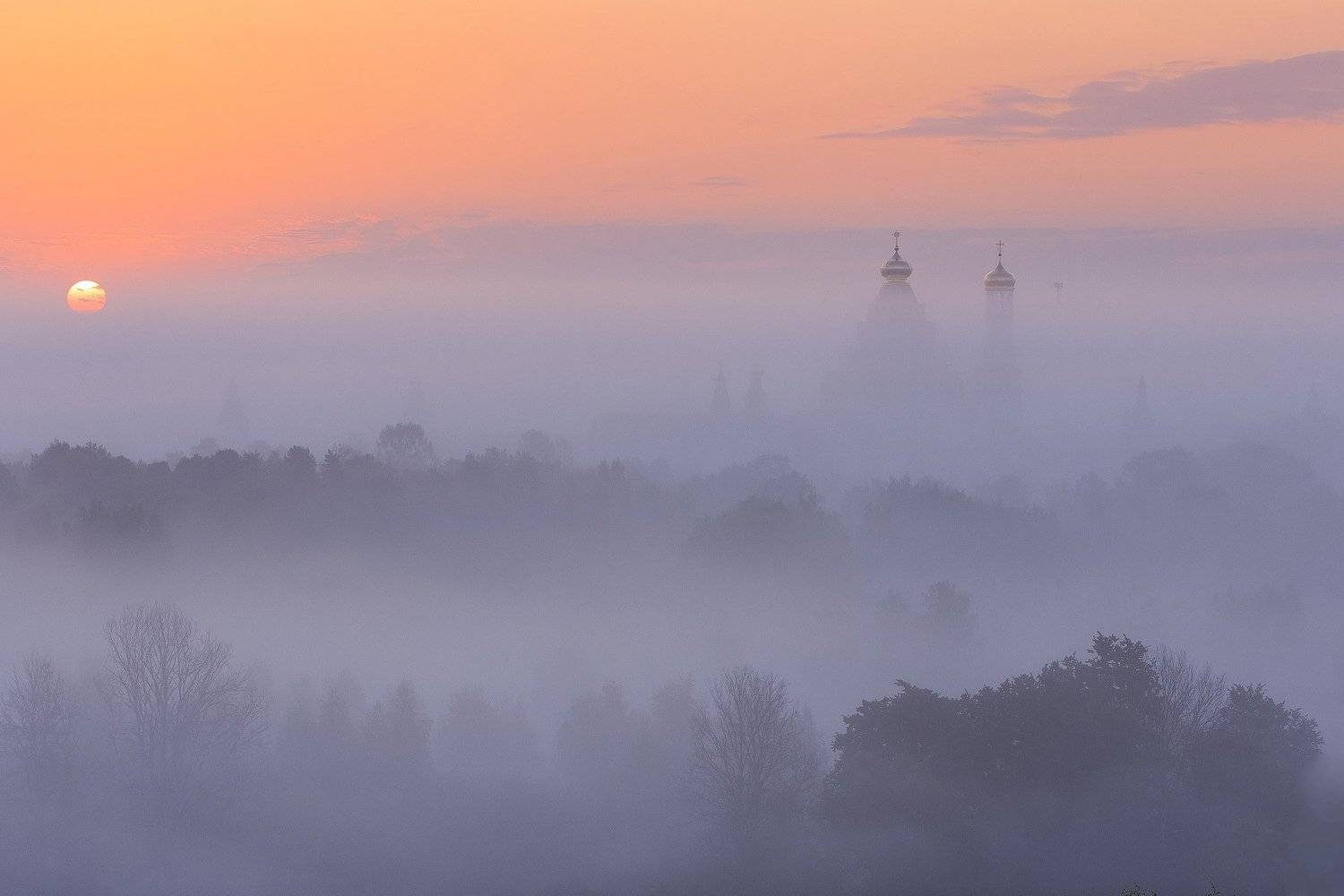 , Татьяна Проценко