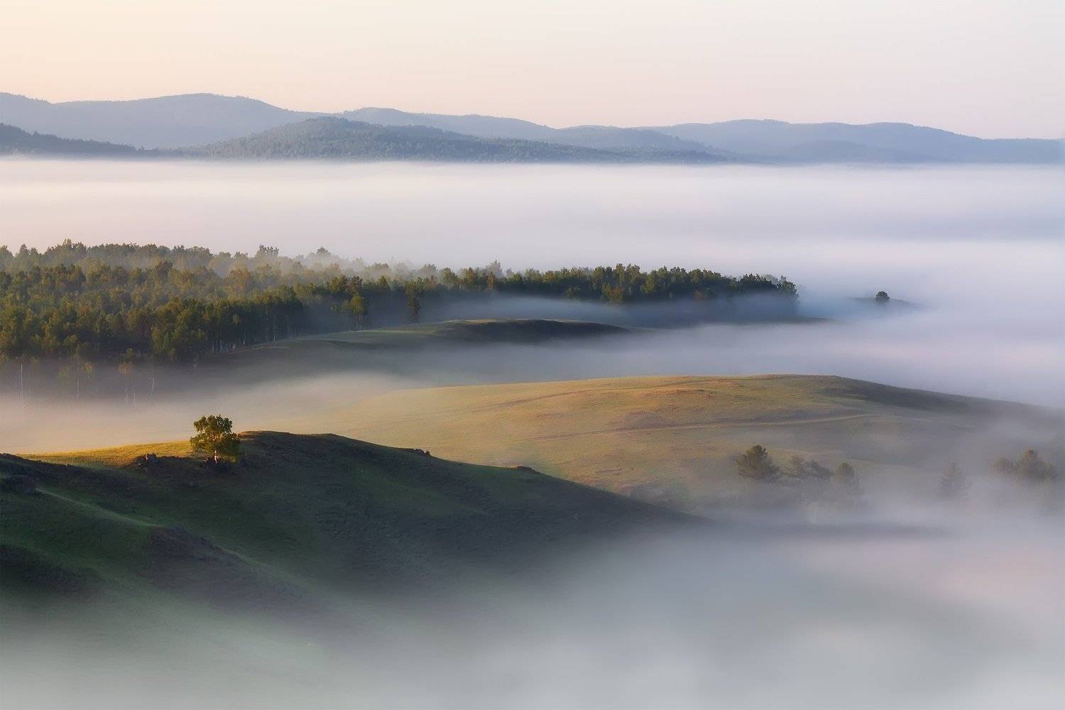 утро, рассвет, восход, туман, лучи, Леонид Максименко