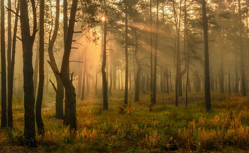 прогулка в осень фото превью