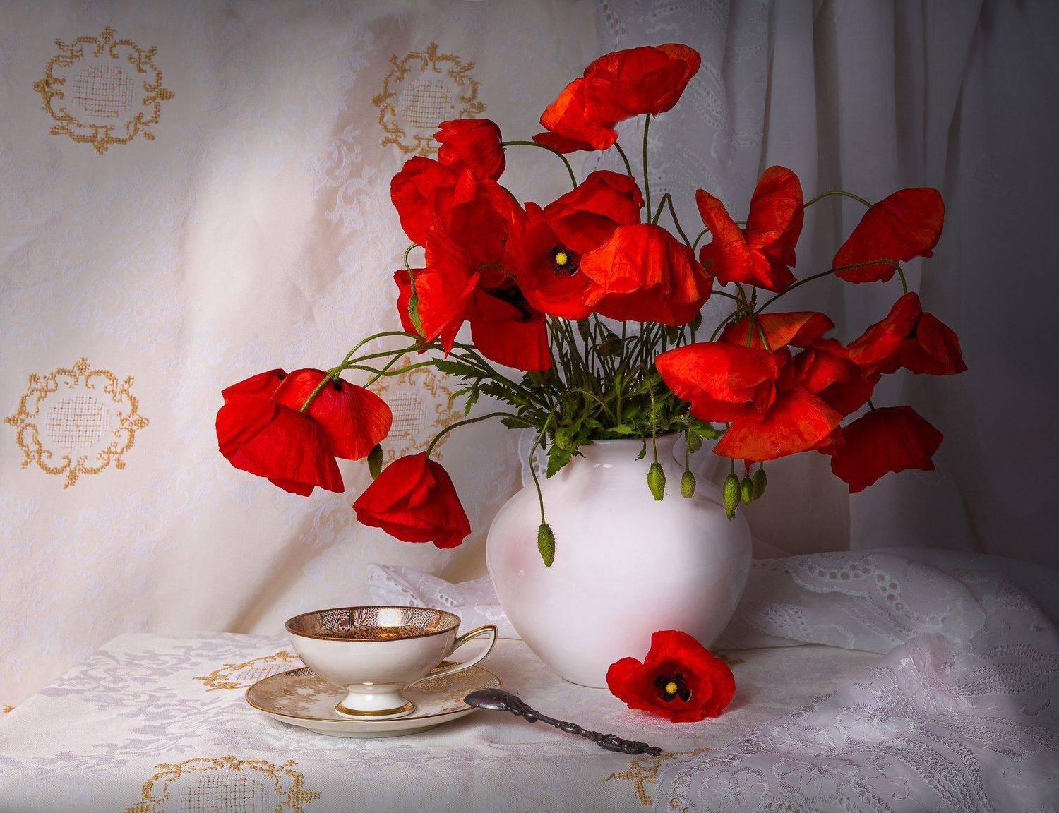 , Наталья Кайзер