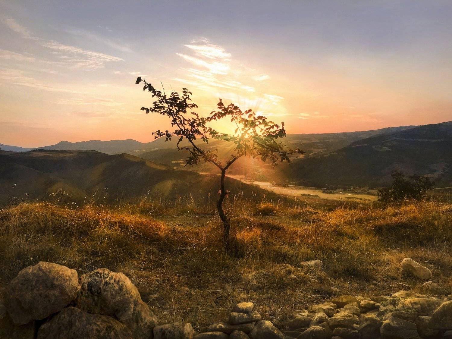 , Руслан Джамалов