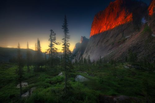 Огненный дракон