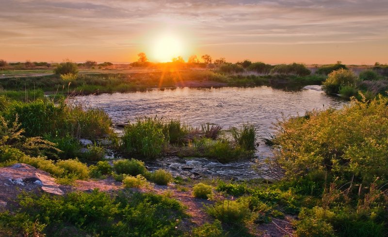 закат, степь, озеро, камыш Вечерняя тишина фото превью
