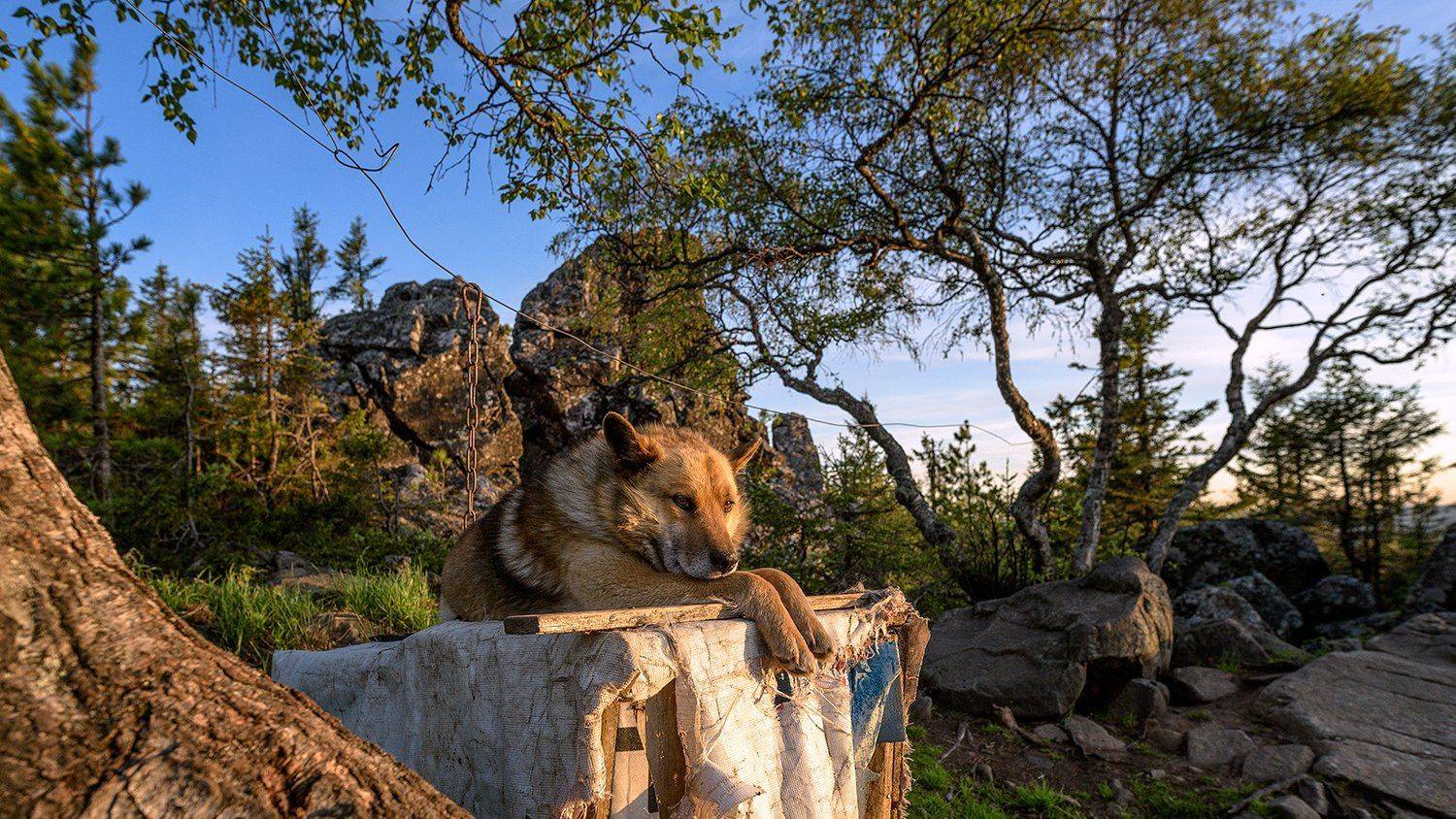 , Сергей Скоробогатов