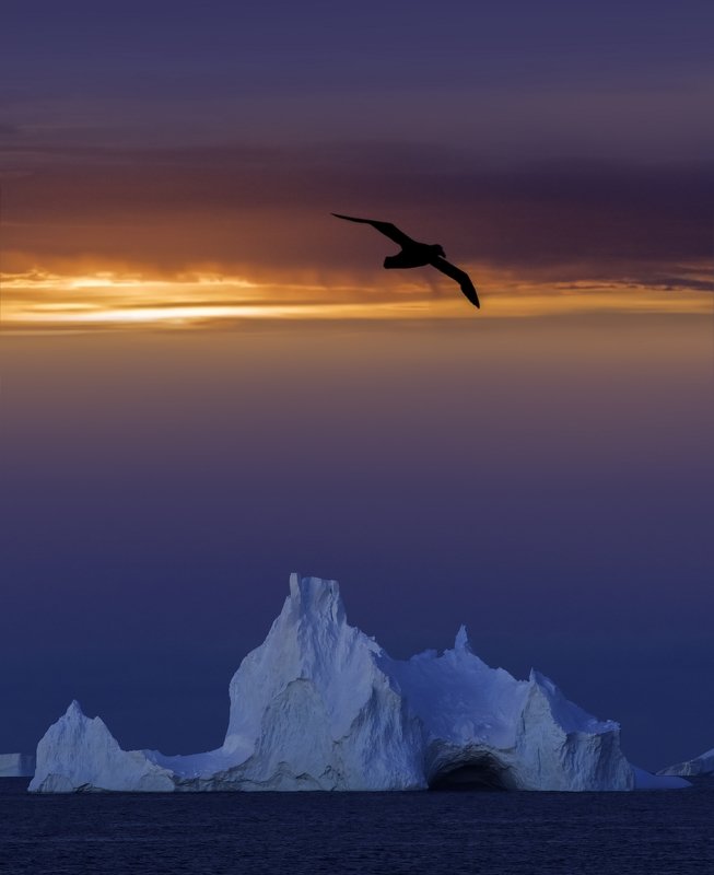 * фото превью