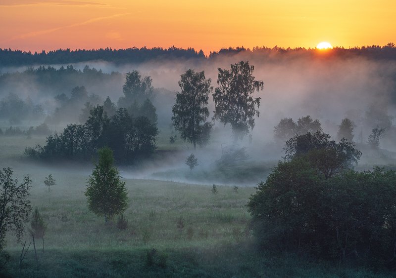 Вот и солнце.. фото превью