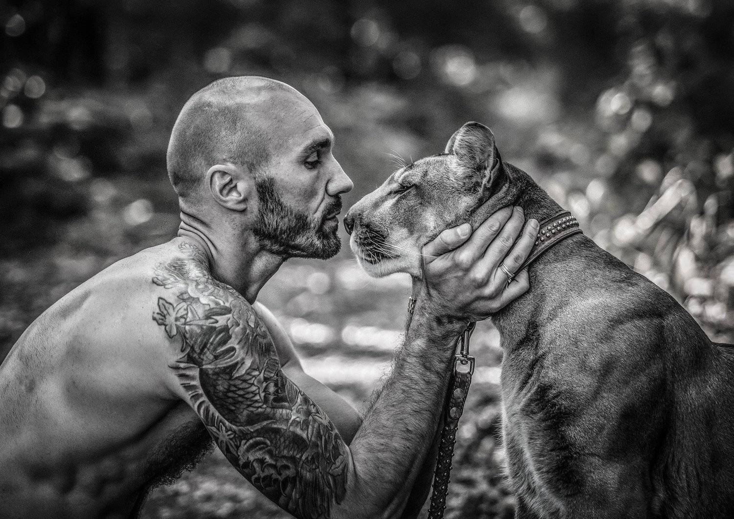 , Сергей Борисов