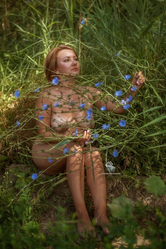 art nu,  photo, photography, eroticism, sexual, artistic erotica, girl, naked body, nude, nu, топлес, фотохудожники, художественная фотография, ретушь, эротика, ню, обнажённое тело, сексуальность, фотосессии в краснодаре Цикорий фото превью