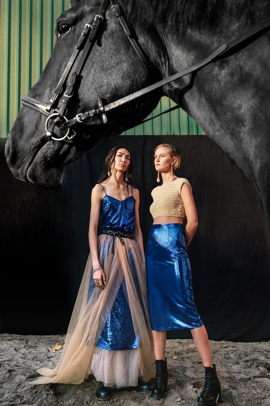 horses, fashion, editorial, art, horse The Royal Road фото превью