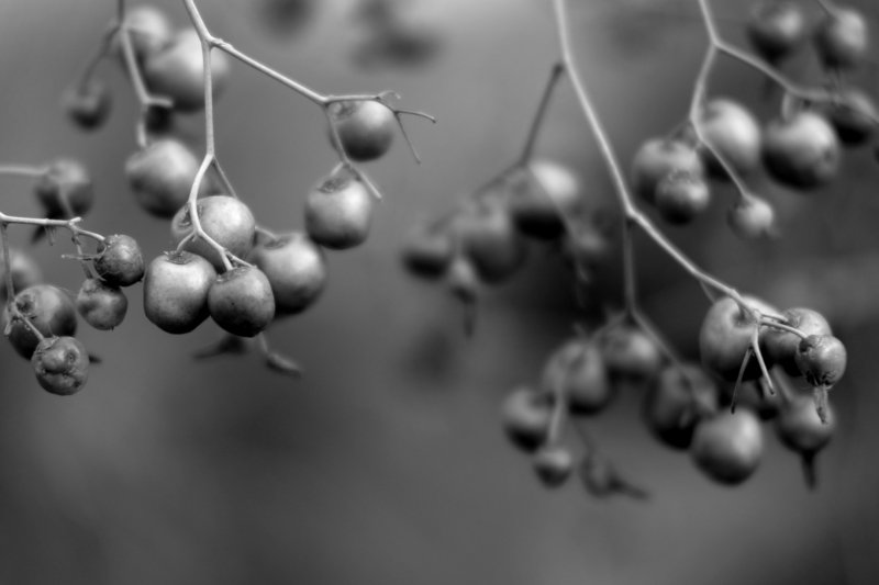 bw#16 фото превью