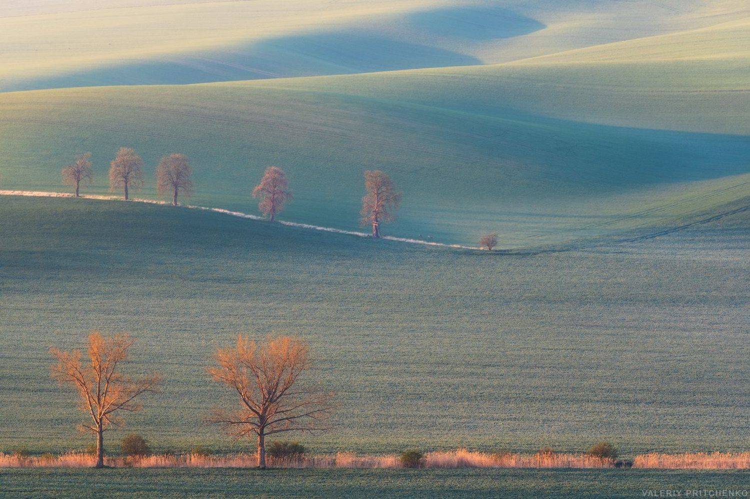 morava, landscape, nature, south moravia, sunrise, южная моравия, чехия, природа, пейзаж, рассвет, Валерий Притченко