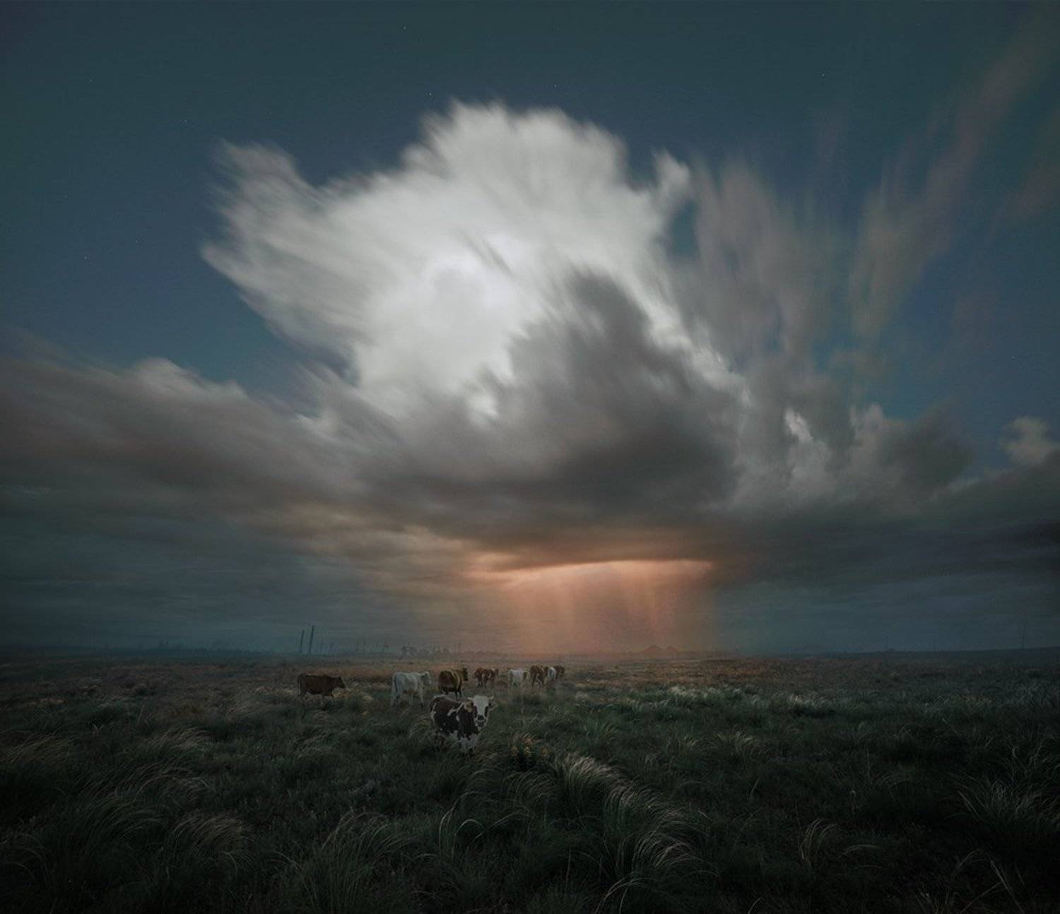 , Дeнис Бoдрoв