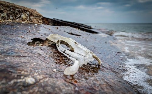 Поверженные.