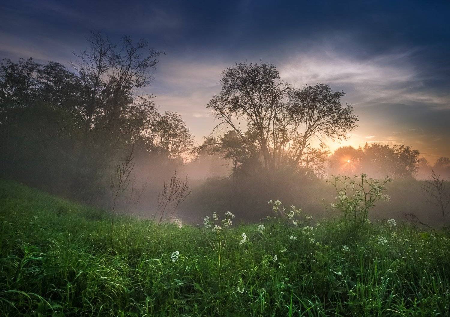 , Евгений Луцко