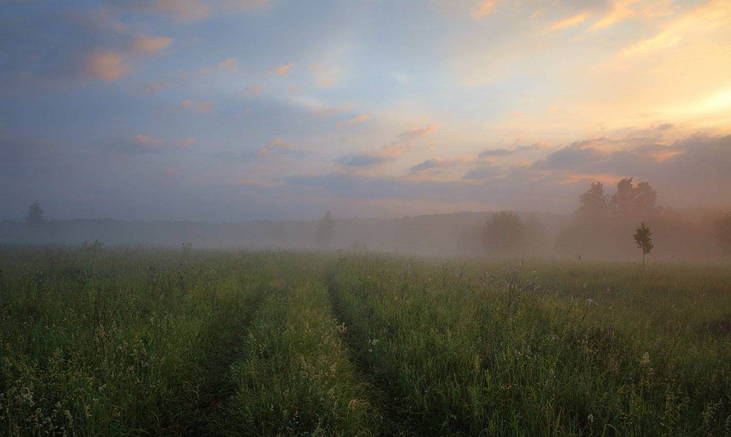 , Анатолий Зверев