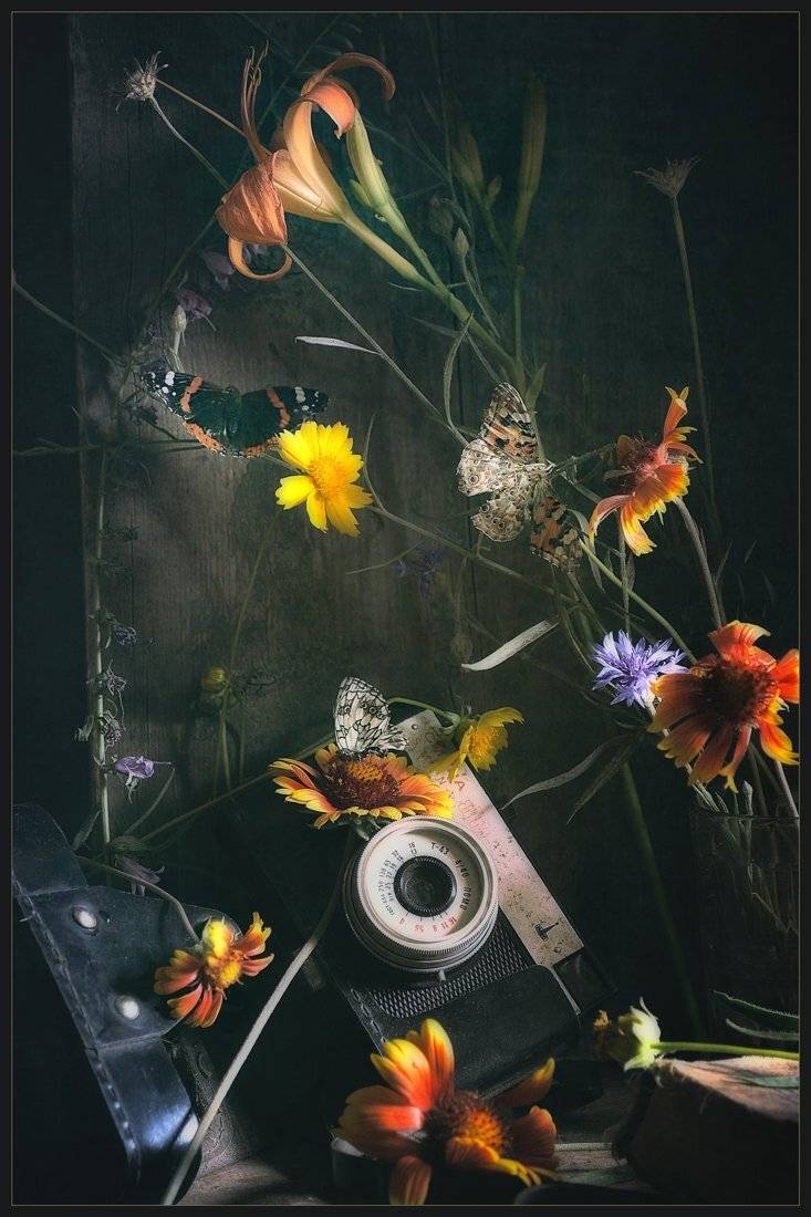 , Александр Хромеев